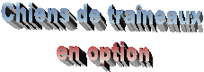 Chiens de traneaux
en option
