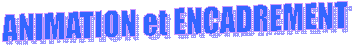 ANIMATION et ENCADREMENT